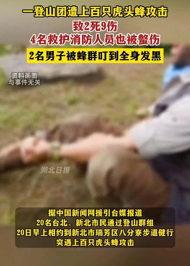 九州酷游·(中国)官方网站2死9伤！一登山团遭蜂群攻击虎头蜂到底有多可怕？(图2)